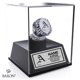 Assumption Crusaders Football 2025 Championship Display Case