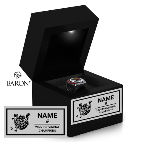 Barrie Colts U14BB OMHA Hockey 2025 Championship Black LED Ring Box