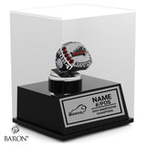 Brantford Bisons U10 Football 2024 Championship Display Case