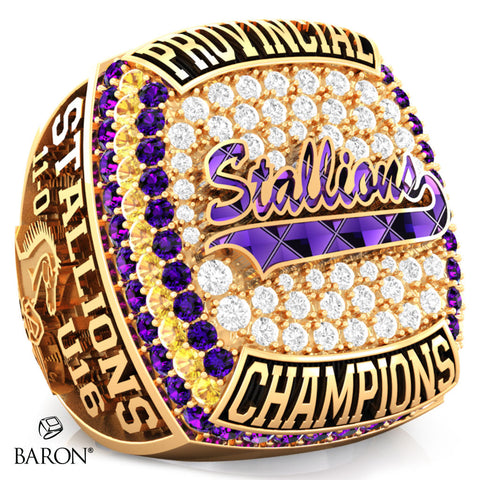 Huronia Stallions U16 OSFL 2023 Championship Ring - Design 4.7 *50% BALANCE*