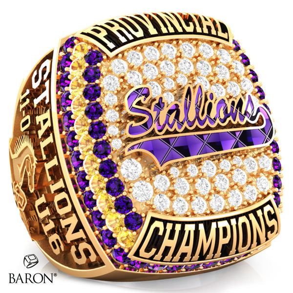Huronia Stallions U16 OSFL 2023 Championship Ring - Design 4.7