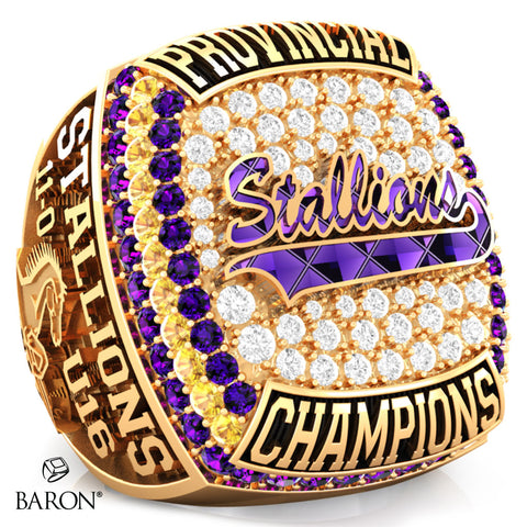 Huronia Stallions U16 OSFL 2023 Championship Ring - Design 4.7