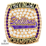 Huronia Stallions U16 OSFL 2023 Championship Ring - Design 4.7 *50% BALANCE*