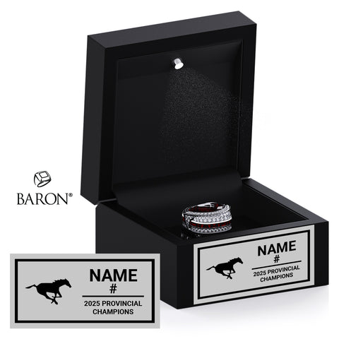 Stampeders LMF Football 2025 Championship Black LED Ring Box
