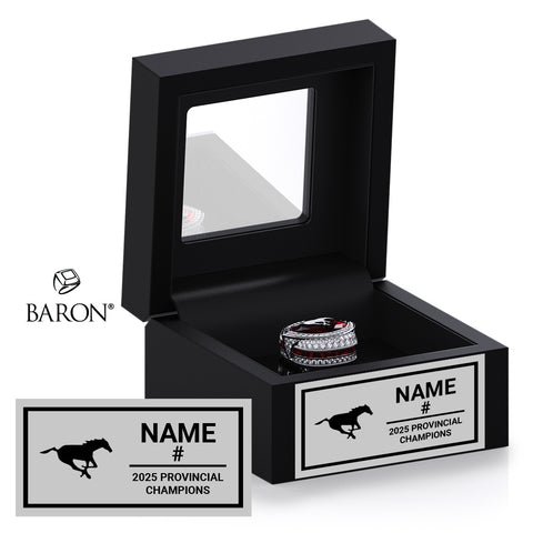 Stampeders LMF Football 2025 Championship Black Window Ring Box