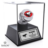 Stampeders LMF Football 2025 Championship Display Case