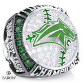 Western Technical Commercial School Baseball 2026 Championship Ring - Design 2.2