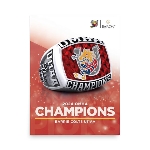 Barrie Colts U11AA 2024 Championship Poster