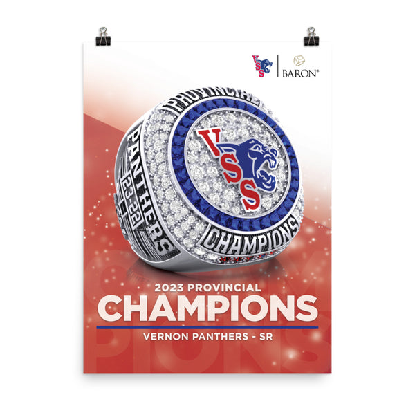Vernon Panthers Football 2023 Championship Poster