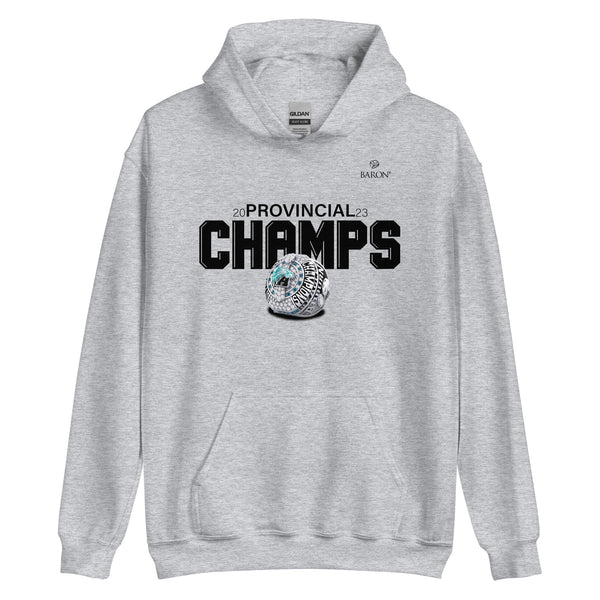 Auburn Eagles Football 2023 Championship Hoodie