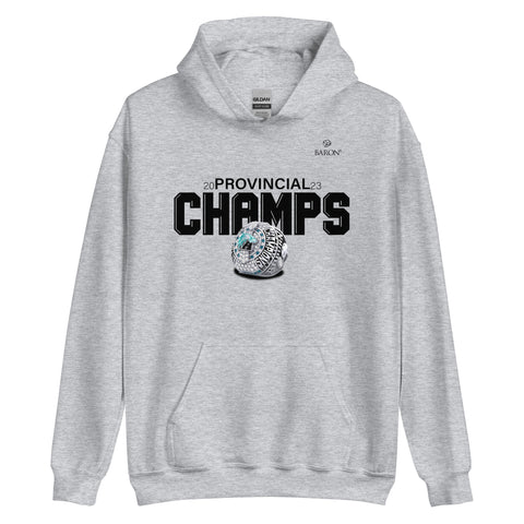Auburn Eagles Football 2023 Championship Hoodie