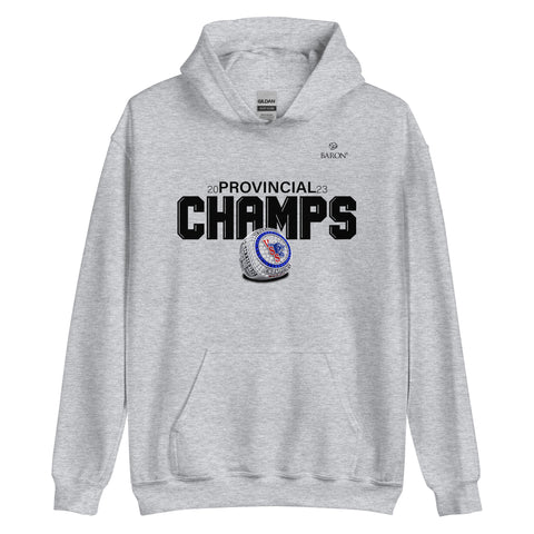 Vernon Panthers Football 2023 Championship Hoodie