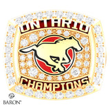 Burlington Stampeders U14 Bantam 2021 Championship Ring - Design 3.4 (Gold Durilium Ring)