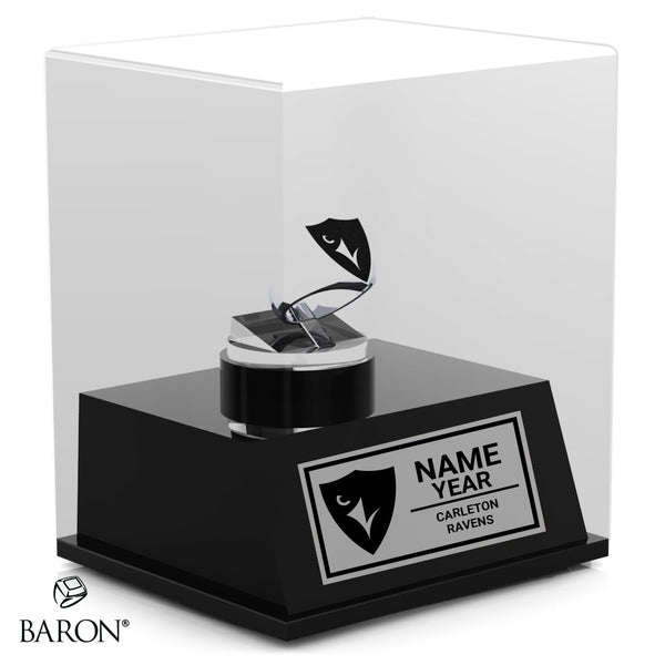 Ravens Display Case