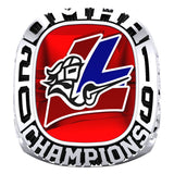 Lambeth Lancers Novice B Ring - Design 1.2