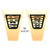 SS Signet Class Ring (Gold Durilium, 10kt Yellow Gold)