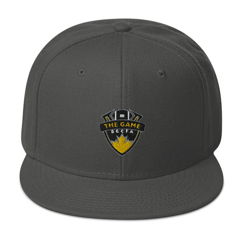 BC Steelers Snapback Hat (Grey)