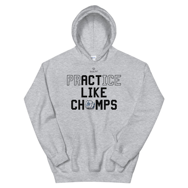 Catholic Central Crusaders Football 2021 Championship Hoodie